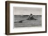 Pirate is Dumped by His Companions-Howard Pyle-Framed Photographic Print