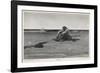 Pirate is Dumped by His Companions-Howard Pyle-Framed Photographic Print