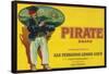 Pirate Lemon Label - San Fernando, CA-Lantern Press-Framed Stretched Canvas