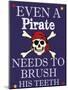 Pirate Must Brush-Taylor Greene-Mounted Art Print