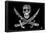 Pirate Pics and Text Poster-null-Framed Poster