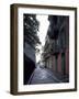 Pirate's Alley-Carol Highsmith-Framed Photo