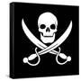 Pirate Skull-oculo-Framed Stretched Canvas