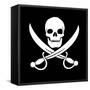 Pirate Skull-oculo-Framed Stretched Canvas