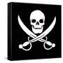 Pirate Skull-oculo-Framed Stretched Canvas