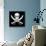 Pirate Skull-oculo-Stretched Canvas displayed on a wall