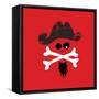 Pirate Skull-null-Framed Stretched Canvas