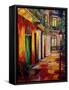 Pirates Alley By Night-Diane Millsap-Framed Stretched Canvas