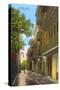 Pirates' Alley, New Orleans, Louisiana-null-Stretched Canvas