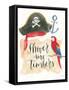 Pirates IV on White-Jenaya Jackson-Framed Stretched Canvas