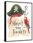 Pirates IV on White-Jenaya Jackson-Framed Stretched Canvas