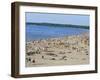 Pirita Beach, Estonia, Baltic States-Yadid Levy-Framed Photographic Print