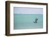 Pirogue, a Traditional Madagascar Sailing Boat, Ifaty Beach, Madagascar, Africa-Matthew Williams-Ellis-Framed Photographic Print