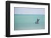 Pirogue, a Traditional Madagascar Sailing Boat, Ifaty Beach, Madagascar, Africa-Matthew Williams-Ellis-Framed Photographic Print