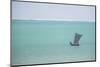 Pirogue, a Traditional Madagascar Sailing Boat, Ifaty Beach, Madagascar, Africa-Matthew Williams-Ellis-Mounted Photographic Print