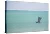 Pirogue, a Traditional Madagascar Sailing Boat, Ifaty Beach, Madagascar, Africa-Matthew Williams-Ellis-Stretched Canvas