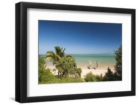 Pirogue, a Traditional Madagascar Sailing Boat, Ifaty Beach, Madagascar, Africa-Matthew Williams-Ellis-Framed Photographic Print