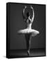 Pirouette-Design Fabrikken-Framed Stretched Canvas