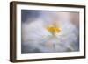 Pirouette-Jacky Parker-Framed Giclee Print