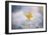 Pirouette-Jacky Parker-Framed Giclee Print