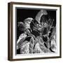 Pirus Cydonia-Thea Schrack-Framed Giclee Print