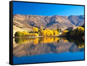 Pisa Range and Lowburn Inlet, Lake Dunstan near Cromwell, Central Otago-David Wall-Framed Stretched Canvas
