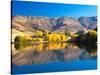 Pisa Range and Lowburn Inlet, Lake Dunstan near Cromwell, Central Otago-David Wall-Stretched Canvas
