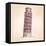 Pisa Tower Vector Illustration-VladisChern-Framed Stretched Canvas