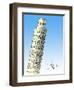 Pisa-The Saturday Evening Post-Framed Giclee Print