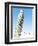 Pisa-The Saturday Evening Post-Framed Giclee Print