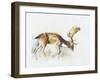 Pisanello Buck, 2006-Mark Adlington-Framed Premium Giclee Print