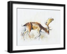Pisanello Buck, 2006-Mark Adlington-Framed Premium Giclee Print
