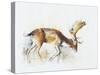Pisanello Buck, 2006-Mark Adlington-Stretched Canvas