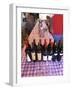 Pisano Wines at Bodega Pisano Winery, Progreso, Uruguay-Per Karlsson-Framed Photographic Print