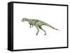 Pisanosaurus Dinosaur-null-Framed Stretched Canvas