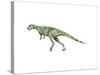 Pisanosaurus Dinosaur-null-Stretched Canvas