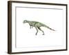 Pisanosaurus Dinosaur-null-Framed Art Print