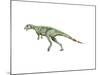 Pisanosaurus Dinosaur-null-Mounted Art Print