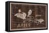 Pisces and Aries-null-Framed Stretched Canvas
