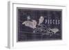 Pisces and Aries-null-Framed Art Print