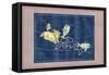 Pisces and Aries-null-Framed Stretched Canvas