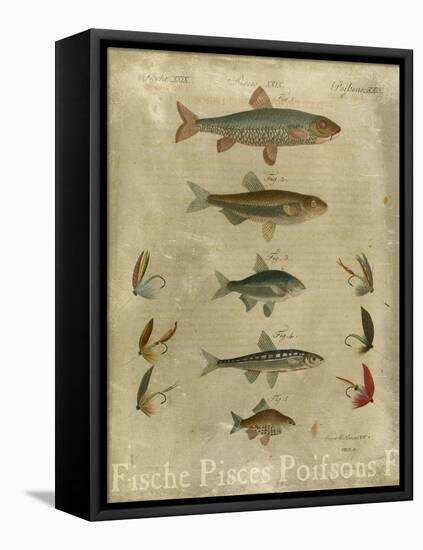 Pisces Composition I-null-Framed Stretched Canvas