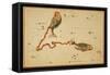Pisces Constellation, Zodiac Sign, 1825-Science Source-Framed Stretched Canvas