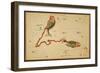 Pisces Constellation, Zodiac Sign, 1825-Science Source-Framed Giclee Print