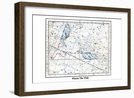 Pisces the Fish-Alexander Jamieson-Framed Art Print