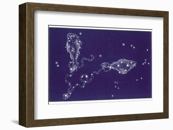 Pisces-Roberta Norton-Framed Photographic Print