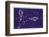 Pisces-Roberta Norton-Framed Photographic Print