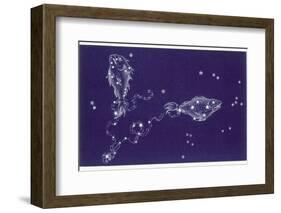 Pisces-Roberta Norton-Framed Photographic Print