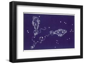 Pisces-Roberta Norton-Framed Photographic Print