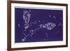 Pisces-Roberta Norton-Framed Photographic Print